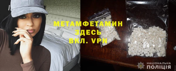 индика Елабуга