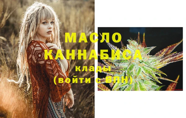сатива Ельня