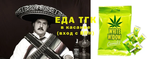 сатива Ельня