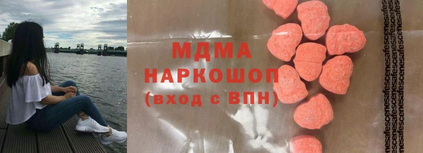 индика Елабуга