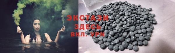 индика Елабуга