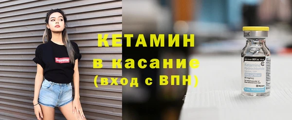 твердый Дмитровск