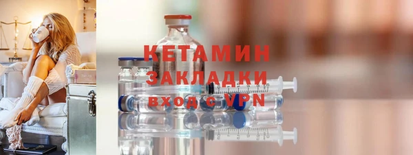 индика Елабуга