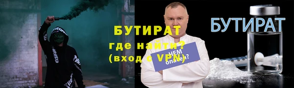 сатива Ельня