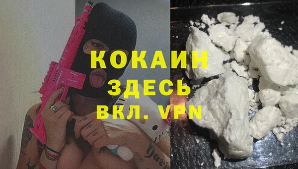 сатива Ельня
