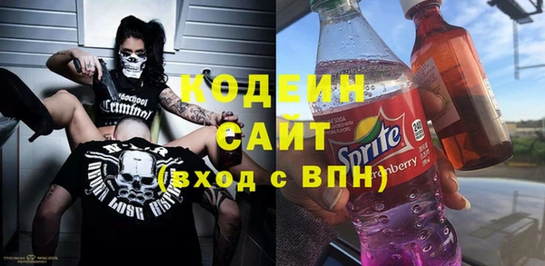 твердый Дмитровск