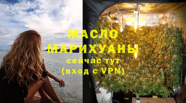 твердый Дмитровск