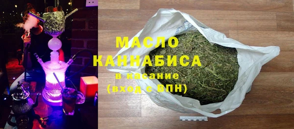 индика Елабуга