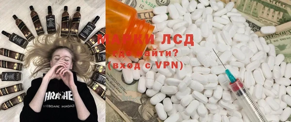 индика Елабуга