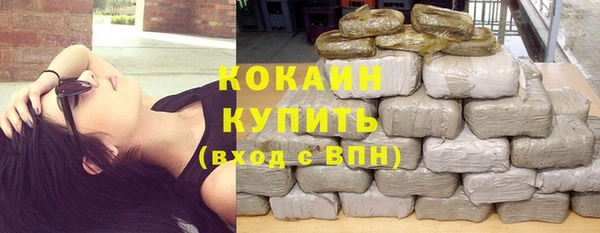 сатива Дмитров