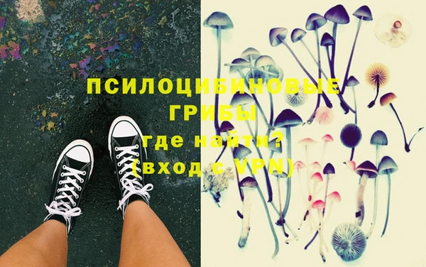 сатива Дмитров