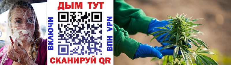 закладка  Димитровград  МАРИХУАНА Bruce Banner 